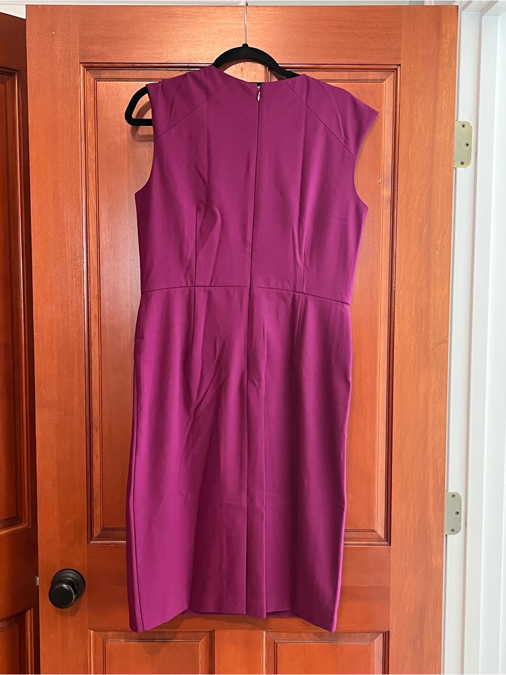 Ann Taylor Raspberry Sheath Dress - Picture 2 of 3